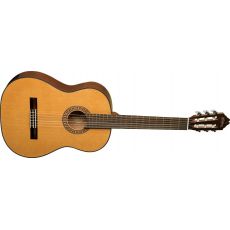 Wasburn C40 klasická španělská kytara (Nylon) 4/4 Smrk/mahagon