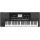 Korg PA300 inteligentní keyboard , 61 kláves, 128 hlasů,1018 zvuků, 310 stylů
