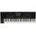 Korg PA4X Profesionální arranger keyboard TOP model 76 kláves  TOP cena