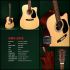 Sigma Guitars by Martin DMC-1STE el. akustická kytara, snímač Fishman, lak TOP