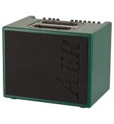 AER Compact 60 IV Green Spatter Finish Limited edition 60W 1x8", REV/DEL/CHORUS