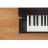 KAWAI CN29R Premium Rosewood Dig. piano , 192hl., 19 zvuků, klad. mech. BT