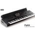 Korg PA3X 76X prof. keyboard arranger workstation + PA-AS lišta + hardcase